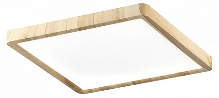 Светильник настенно-потолочный светодиодный Citilux Бейсик CL738K242V Светильник настенно-потолочный светодиодный Citilux Бейсик CL738K242V