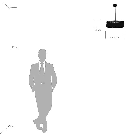 Потолочная люстра Lightstar Amerigo 746048 Потолочная люстра Lightstar Amerigo 746048