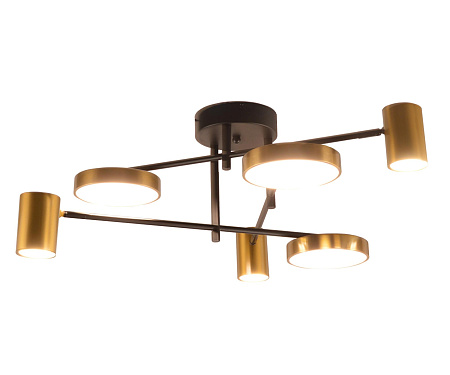 Люстра потолочная светодиодная Kink Light Рапис 07645-6D,19(20)