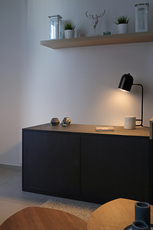 Настольная лампа Freya Unique FR5279TL-01B1 Настольная лампа Freya Unique FR5279TL-01B1