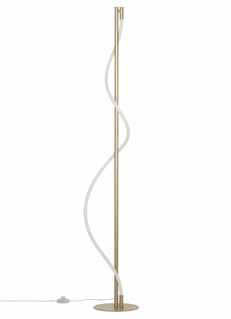 Торшер светодиодный Citilux Eva CL210912