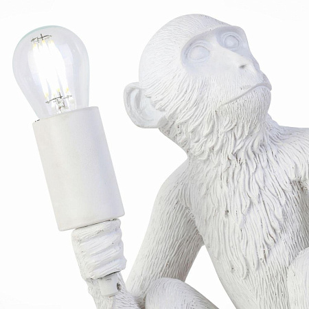 Настольная лампа Evoluce Tenato SLE115104-01