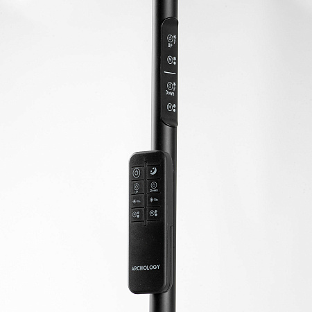 Торшер светодиодный Lussole CARMEL LSP-0901-SE Торшер светодиодный Lussole CARMEL LSP-0901-SE