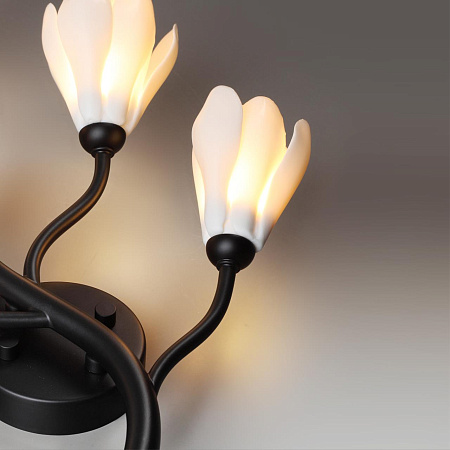 Светильник настенный Odeon Light GARDI 5090/5W