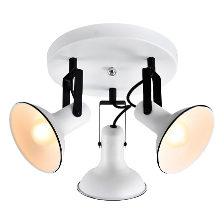 Спот Lussole FARGO LSP-8803 Спот Lussole FARGO LSP-8803