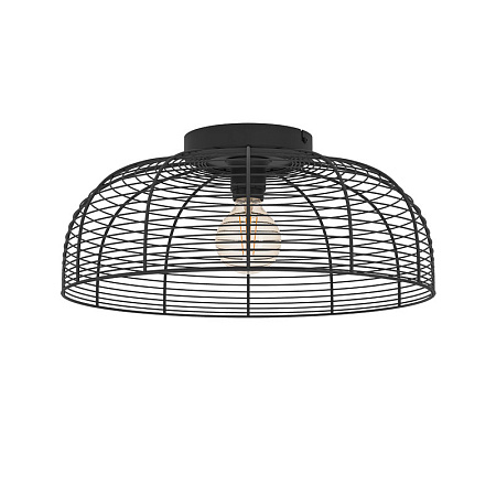 Светильник потолочный Eglo RINROE 43896 Светильник потолочный Eglo RINROE 43896