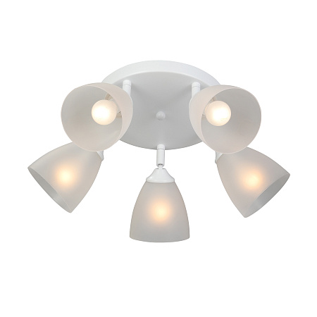 Люстра потолочная Vitaluce V4355-0/5PL Люстра потолочная Vitaluce V4355-0/5PL