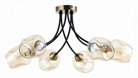 Люстра потолочная Evoluce Besano SLE205302-06 Люстра потолочная Evoluce Besano SLE205302-06