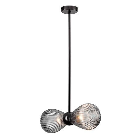 Светильник потолочный Odeon Light Elica 5417/2