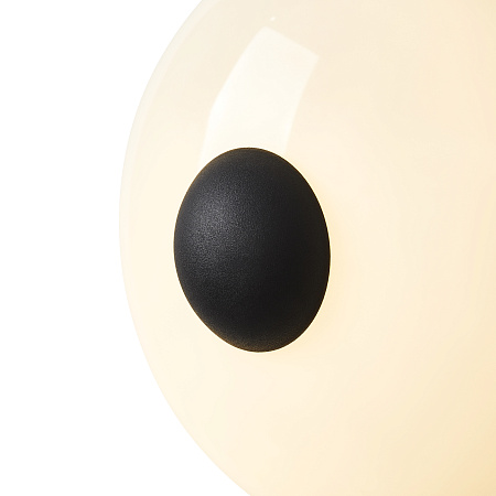 Светильник настенный светодиодный Freya Aqua FR5553WL-L6B Светильник настенный светодиодный Freya Aqua FR5553WL-L6B