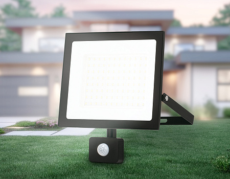 Уличный прожектор светодиодный Ambrella light ST8118