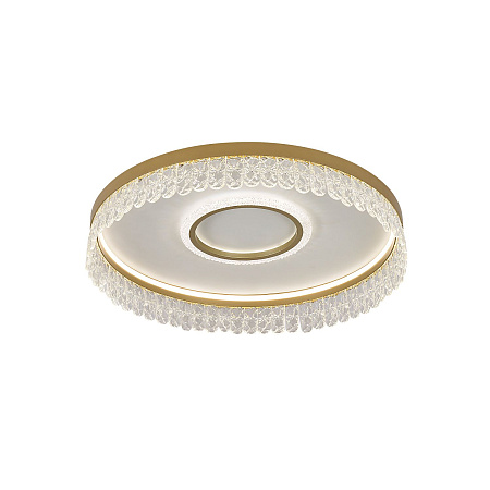 Светильник потолочный светодиодный F-Promo Lunetta 4186-2C