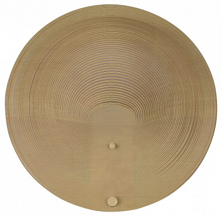 Светильник настенный светодиодный ST Luce Fossil SL6900.501.16