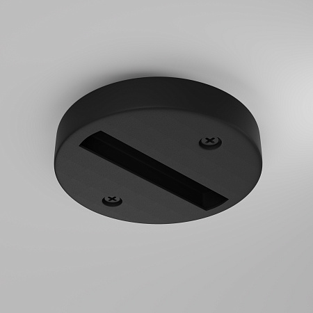 Шинопровод однофазный Maytoni Unity TRA010-1-BS-B Шинопровод однофазный Maytoni Unity TRA010-1-BS-B