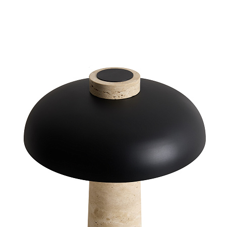 Настольная лампа светодиодная Freya Sunspot FR5482TL-L7B