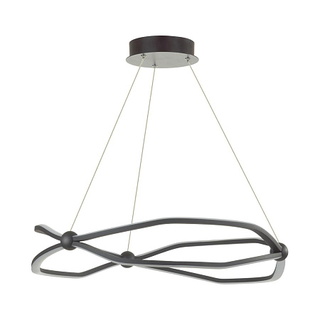 Люстра подвесная светодиодная Odeon Light PORTA 5000/45L