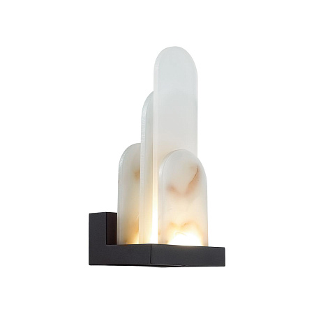Светильник настенный светодиодный Odeon Light FOROS 5438/12WL