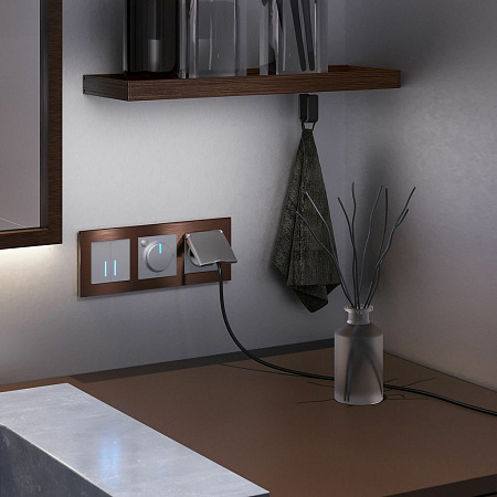 Сенсорный выключатель двухклавишный с подсветкой 1000 Вт Werkel W4520006 a057681