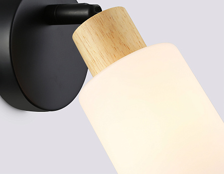 Спот Ambrella light TR8720