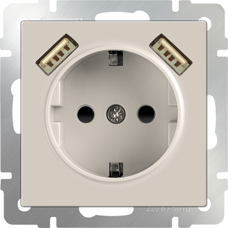 Розетка с заземлением, шторками и USBх2 слоновая кость Werkel W1171503 4690389155833 a051486