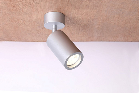 Спот Favourite Angularis 2803-1U Спот Favourite Angularis 2803-1U