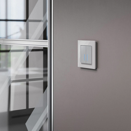 Сенсорный выключатель двухклавишный с подсветкой 1000 Вт Werkel W4520006 a057681