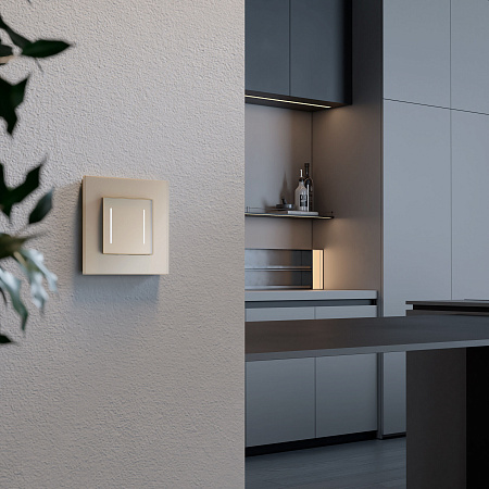 Умный сенсорный выключатель двухклавишный Werkel шампань W4523011 Умный сенсорный выключатель двухклавишный Werkel шампань W4523011