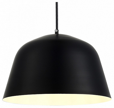 Светильник подвесной Evoluce Blank SLE1805-403-01