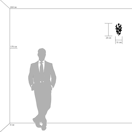 Бра Lightstar Isabelle 791614 Бра Lightstar Isabelle 791614