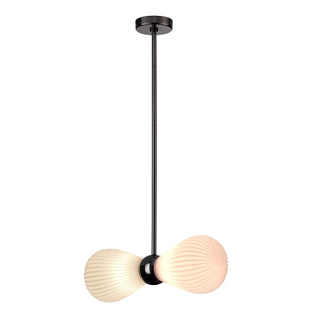 Светильник потолочный Odeon Light Elica 5418/2