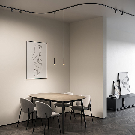 Шинопровод накладной Round Elektrostandard Mini Magnetic 85168/00 черный a067270