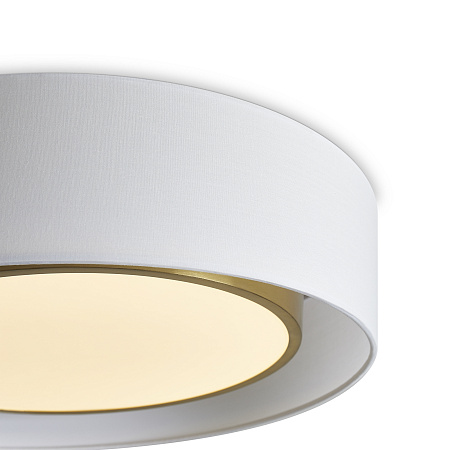 Светильник потолочный светодиодный Freya Cozy FR6170CL-L52BS Светильник потолочный светодиодный Freya Cozy FR6170CL-L52BS