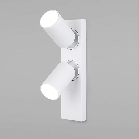 Спот светодиодный Eurosvet Flank 20139/2 LED белый a059101