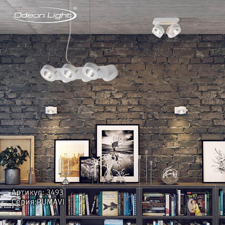 Светодиодный спот Odeon Light Pumavi 3493/60L