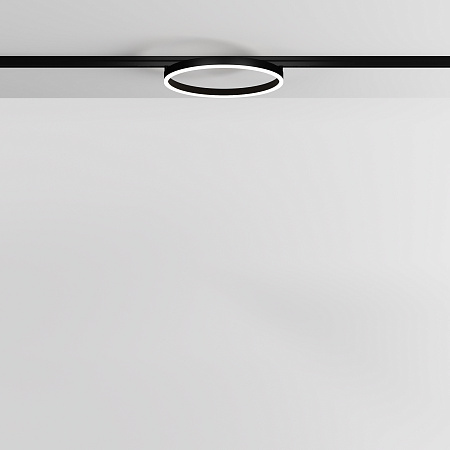 Трековый магнитный светодиодный светильник Maytoni Exility Rim TR227-2-24W4K-B