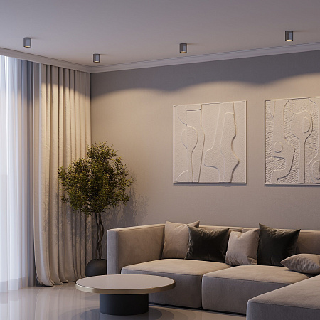 Светильник потолочный светодиодный Elektrostandard Primo 25116/LED 12W 4000K титан a069415