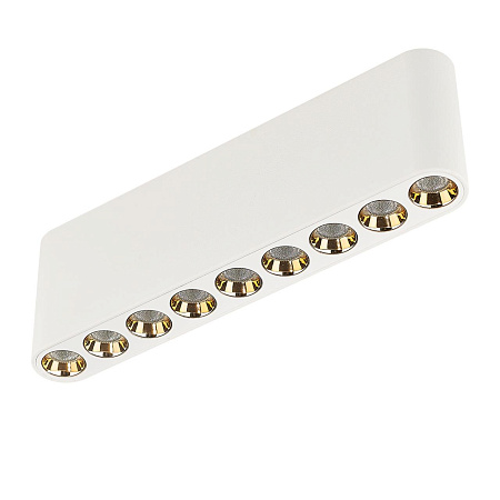 Светильник потолочный светодиодный Odeon Light SMALL 7091/21CL