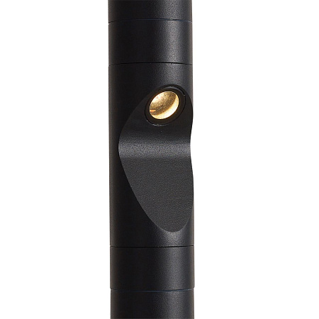Уличный ландшафтный светодиодный светильник Odeon Light BAMBOO 7021/9FL