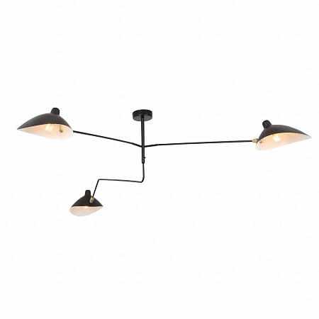 Потолочная люстра ST Luce Spruzzo SL305.402.03 Потолочная люстра ST Luce Spruzzo SL305.402.03