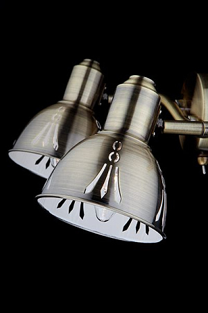 Спот Eurosvet Azimuth 20052/2 античная бронза 00000077912 Спот Eurosvet Azimuth 20052/2 античная бронза 00000077912