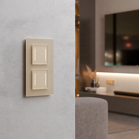 Сенсорный выключатель двухклавишный с подсветкой Werkel шампань W4522011 Сенсорный выключатель двухклавишный с подсветкой Werkel шампань W4522011