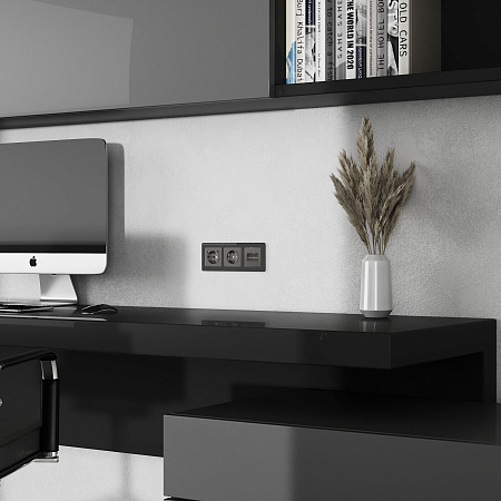 Накладка для двойной розетки Еthernet RJ-45 Werkel графит W1191144 Накладка для двойной розетки Еthernet RJ-45 Werkel графит W1191144