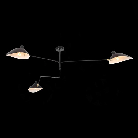 Потолочная люстра ST Luce Spruzzo SL305.402.03 Потолочная люстра ST Luce Spruzzo SL305.402.03
