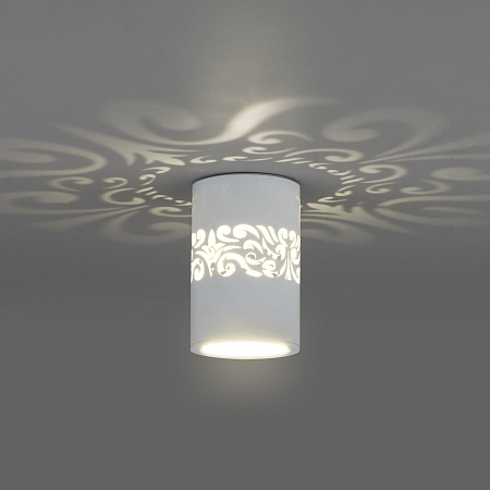 Светильник потолочный светодиодный Elektrostandard DLS025 белый a047684