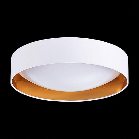 Потолочный светодиодный светильник Evoluce Orbio SLE201122-01 Потолочный светодиодный светильник Evoluce Orbio SLE201122-01