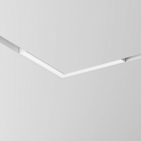 Трековый магнитный светильник Maytoni Basis Gravity TR078-2-24W4K-W