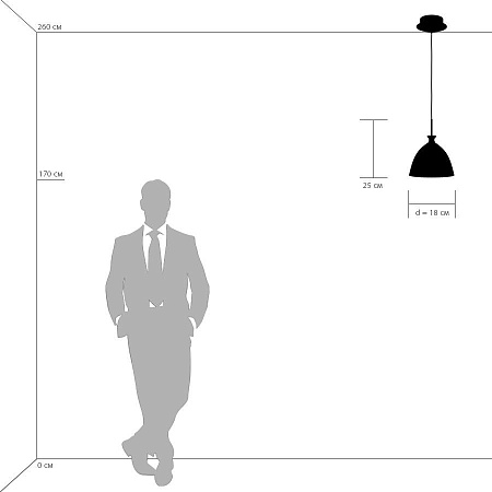 Подвесной светильник Lightstar Agola 810020 Подвесной светильник Lightstar Agola 810020