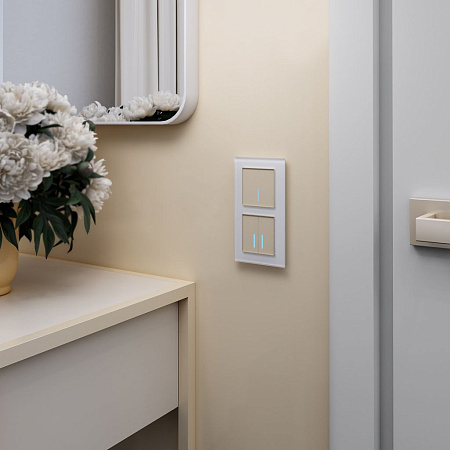 Сенсорный выключатель двухклавишный с функцией Wi-Fi Werkel a048329 a048329 Сенсорный выключатель двухклавишный с функцией Wi-Fi Werkel a048329 a048329