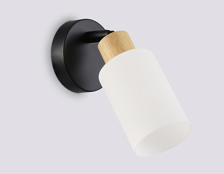 Спот Ambrella light TR8720