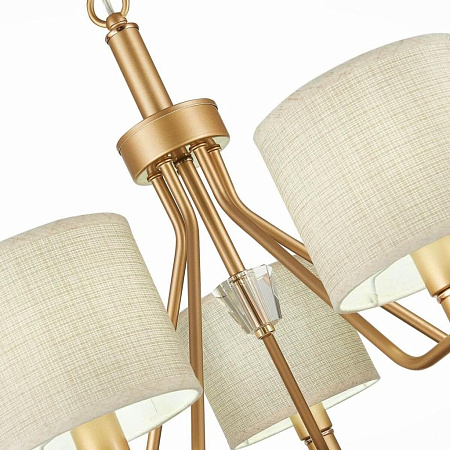 Подвесная люстра Evoluce Vilede SLE107003-05 Подвесная люстра Evoluce Vilede SLE107003-05